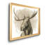 Bull Moose II - Reproduction d'art sur toile encadrée-1573759716-1573759721