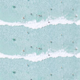 Ocean Swimmers 10' L x 24" W Wallpaper Roll