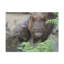 No Frame Print on Canvas-1896287494