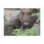 No Frame Print on Canvas