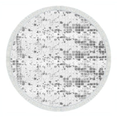 Elver Machine Woven Polyamide Area Rug in Gray/White