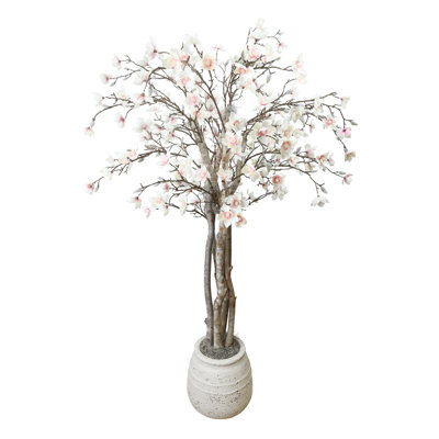 Magnolia Tree in Stone Pot