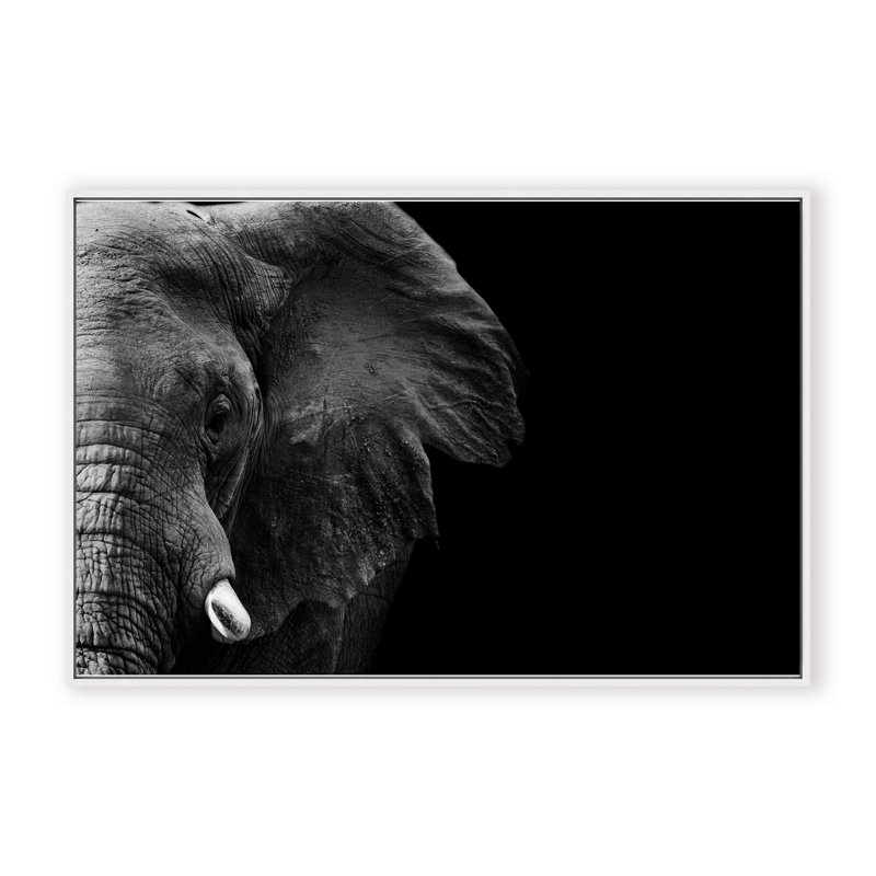 Nature Inspired Elephant by  - Picture Frame Photograph on Paper, Framed Canvas, 24" H x 36" W x 2.375" D, White