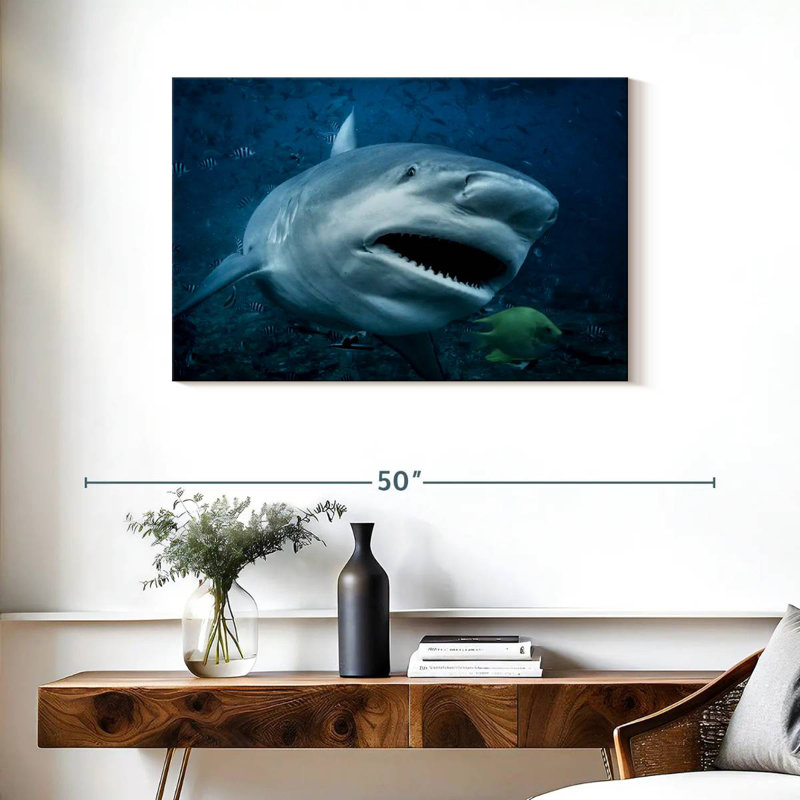 Brampt Bull Shark In Action, 24" H x 36" W