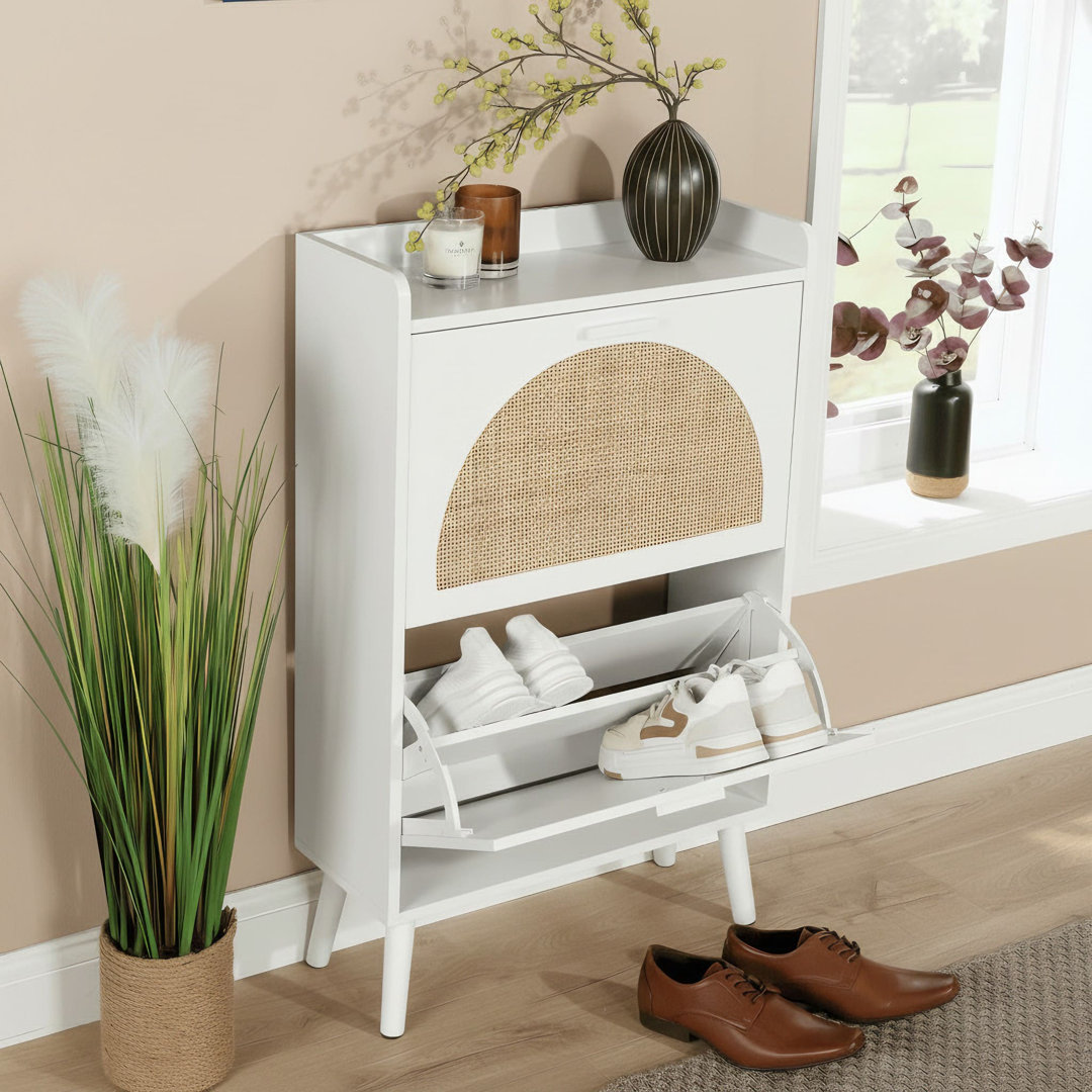 Anelise 2 Door Rattan Shoe Storage Cabinet