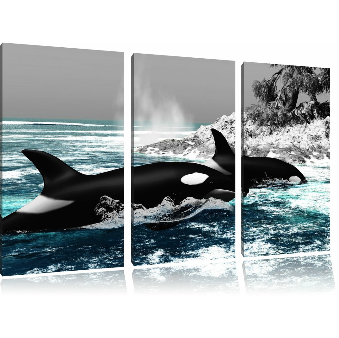 3-tlg. Leinwandbilder-Set „Schöne Orcas vor Insel", Fotodruck