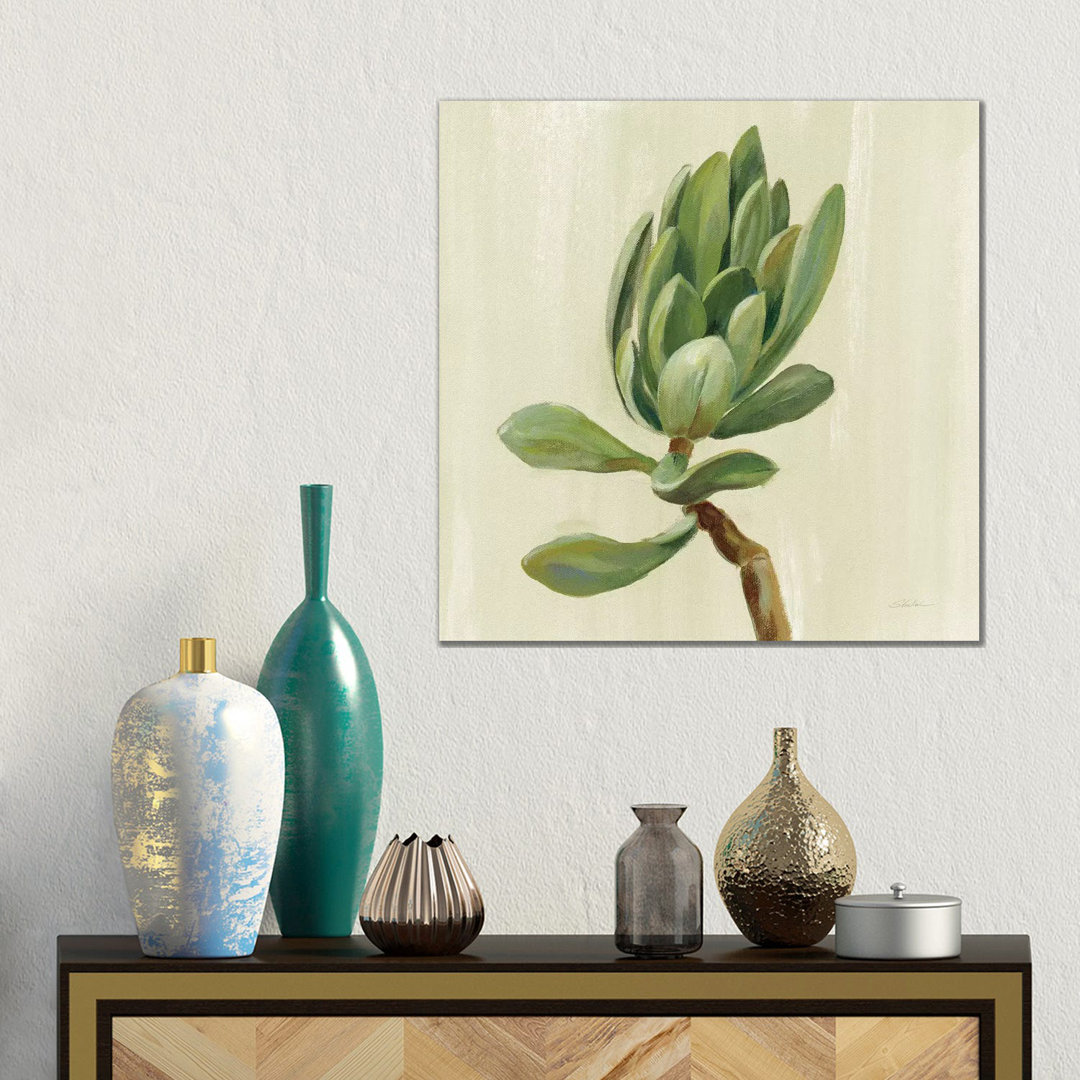 Front Yard Succulent III von Silvia Vassileva - Galerie-verpackte Leinwand Giclée auf Leinwand