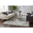 Omarion Oriental Indoor Rug-29157481