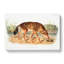 Red Texan Wolf by J.W. Audubon - Wrapped Canvas Painting-55338634