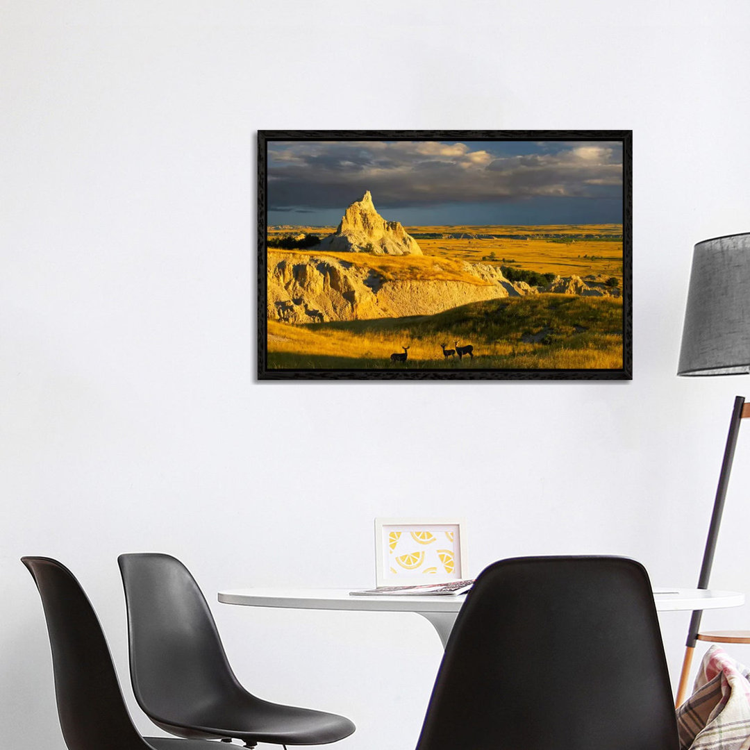 Mule Deer Trio In The Grasslands Of Badlands National Park, South Dakota von Tim Fitzharris - Gallery-Wrapped Canvas Gic...