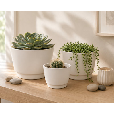 Ensemble de 3 bols ronds en céramique blanc mat avec soucoupe attachée Sera