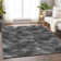 Premium Machine Washable Prisco Gray Rug