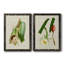 Impression encadrée Elegant Tropicals IPremium - prête à être accrochée-84878314-84713492-84713512