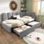   3ft Daybed Sofa Bed With 2 Drawers Velvet-796065366