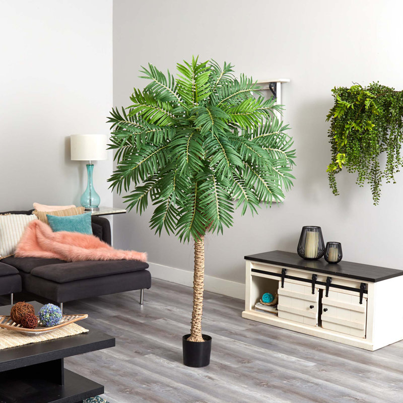 Faux Palm Tree in Planter, 80" H x 24" W x 20" D