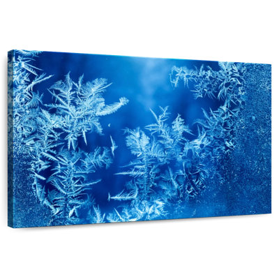 Alvord Winter Frost Forms