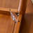 Patress-2011278121
