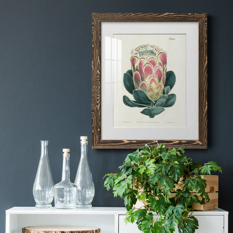 Protea N83 - Peinture encadrée, H 20 po x l 17 po x P 1,5 po, Encadré de bois de noyer