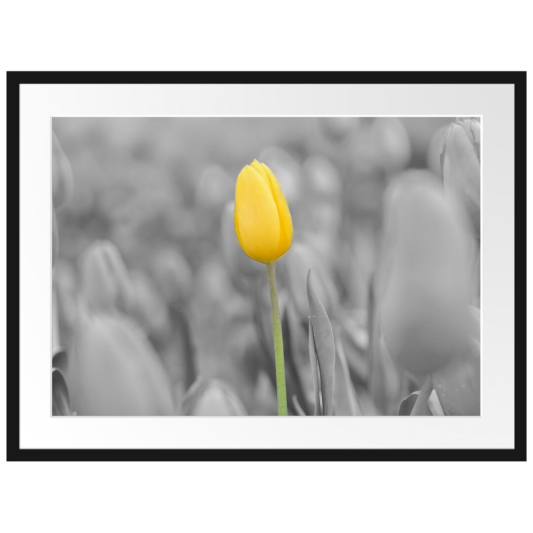 Gerahmtes Poster Gelbes Tulpenmeer