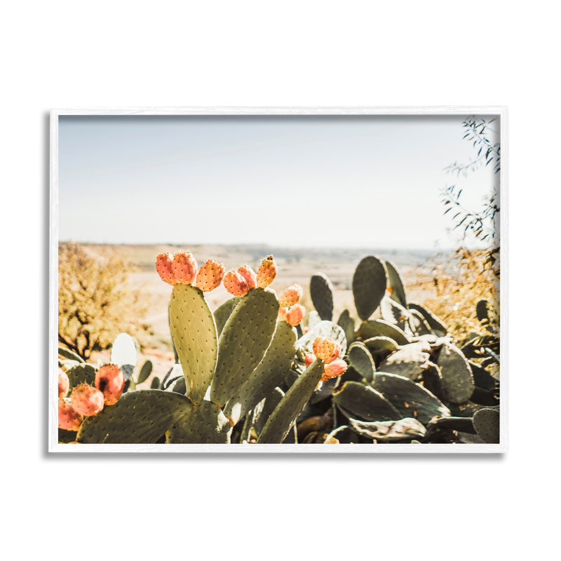 Cactus ensoleillé par Krista Broadway - photographie, H 24 po x l 30 po x P 1,5 po, Giclée encadrée blanc bord de mer