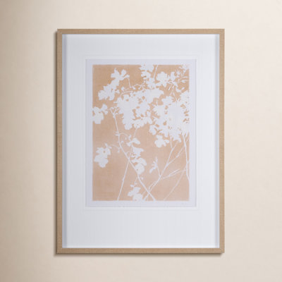 Flower Silhouette - Jasmine Print