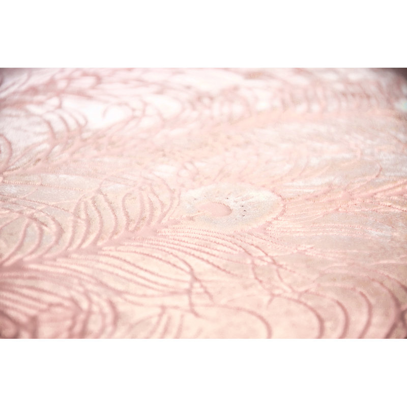 Peacock Feather Square Velvet Pillow Cover & Insert, Square 18", Blush