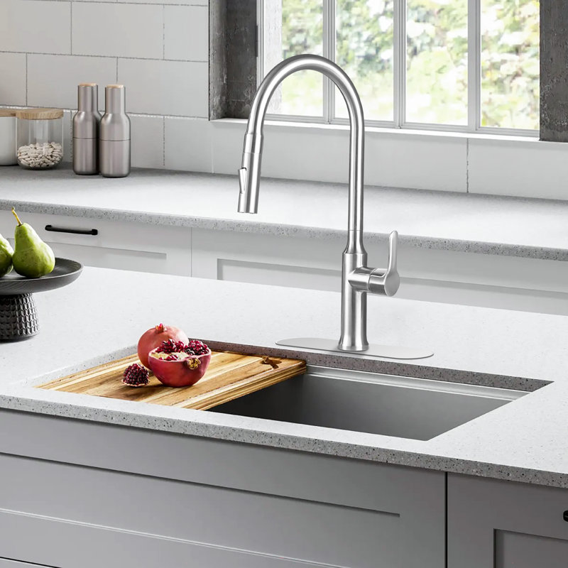 Pull Out Single Handle Kitchen Faucet with Double Function Sprayer Head, With Deck Plate