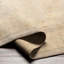 Normandy Wool Oriental Area Rug-1746155115