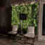 Photos des clients 2 de 2