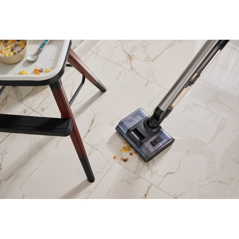 ELECTROLUX 2-IN-1 WET & DRY VACUUM, Gray