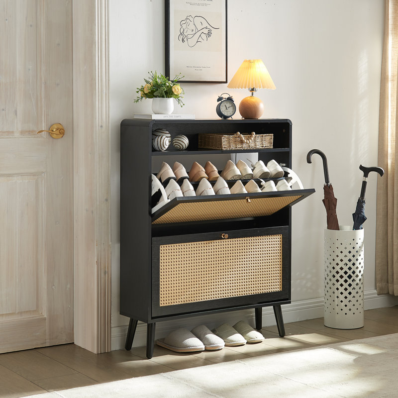 Armoire de rangement pour chaussures 16 paires, Noir