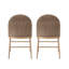 Ensemble de 2 chaises de salle à manger Farmhouse, chaise d'appoint rembourrée en fer et dossier en rotin