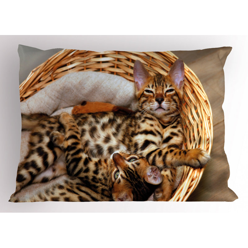 Polyester Sham Set, Twin