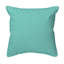 Coussin intérieur / extérieur Turtle-570396196