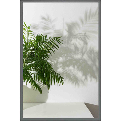 Hellertown Chamaedorea - Single Picture Frame Print