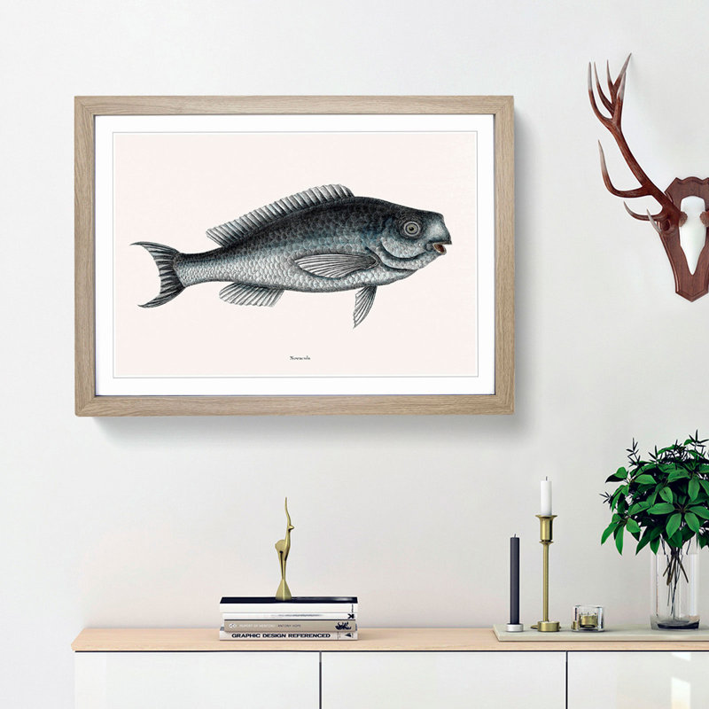 Blue Fish by Mark Catesby - Picture Frame Painting Print, Oak Framed, 27cm H x 36cm W x 2cm D