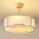 19'' Modern Ceiling Fan With Light