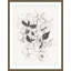 Hellebores In Bloom 1 Print-1319606059