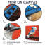 «Blue Jay» par The Red Barn I - oiseau, art mural-1452389726-1452389727-1452389716
