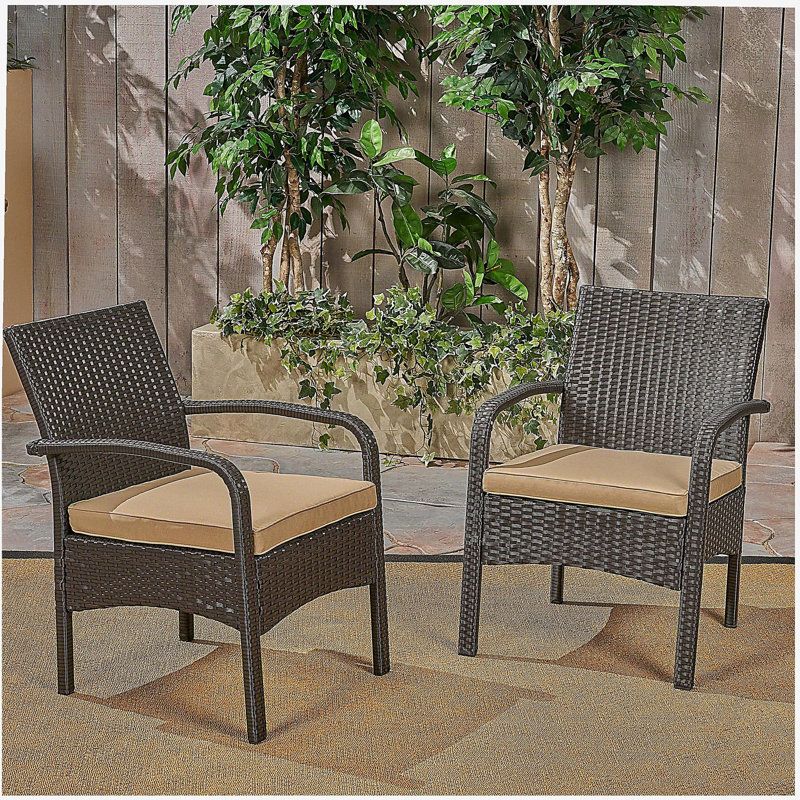 Chaise de salon, chaise d'art, Brun, Noir