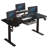 Modernchamp 63'' Dual Motor Height Adjustable Standing Desk With Laminate-91148511