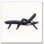 CHAISE Longe avec coussin