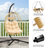 Zuriah Egg Chair with Stand-1434496018