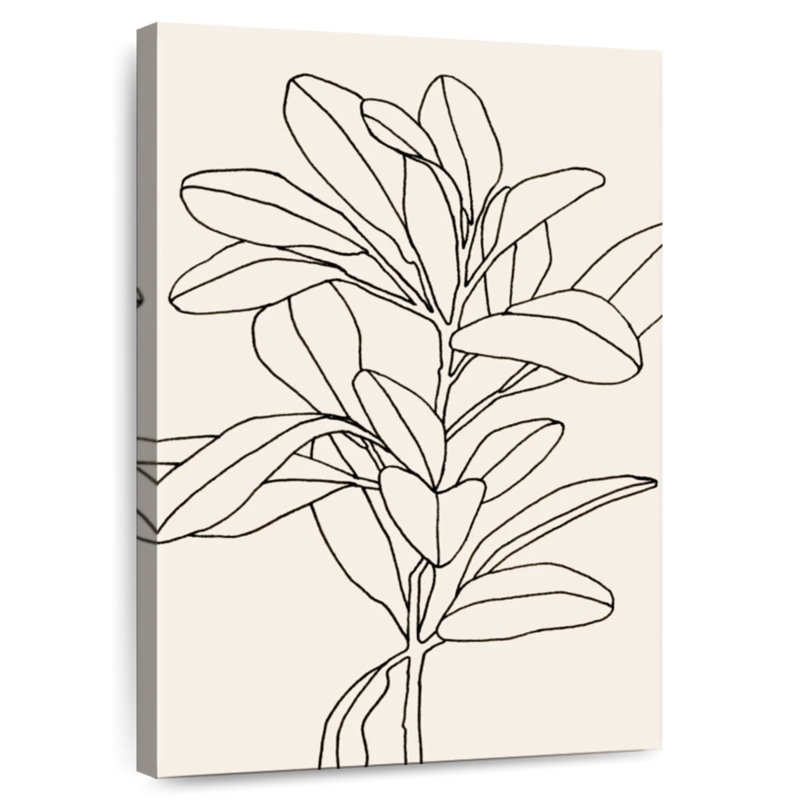 Harnek Olive Branch Contour II, H 12 po x l 8 po
