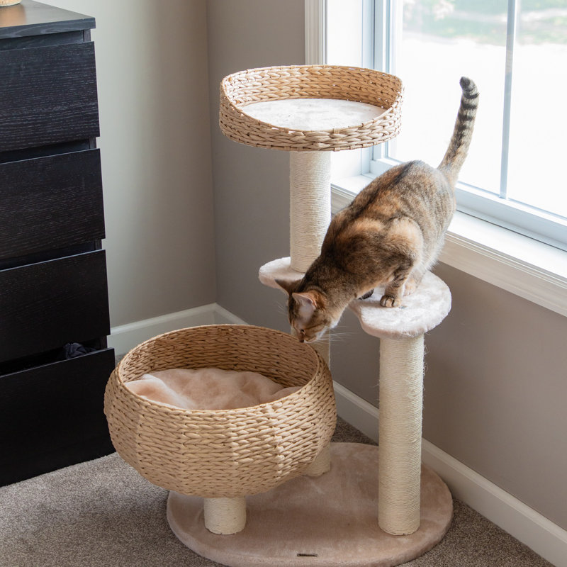 Sleeping in the Bowl Cat Tree with Basket Beds and Cushion, Cute Cat Tower with Cat Scratching Post