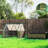 2-in-1 Raised Planter Greenhouse,Raised Garden Bed,Planter Raised Bed, Clear-1508482956