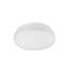 Collins 1 - Light LED Flush Mount