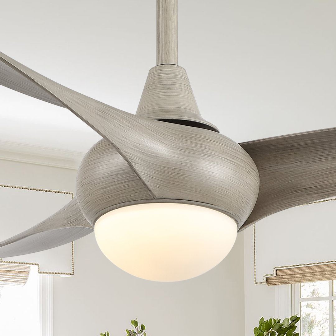 Coleigh 52'' Ceiling Fan with LED Lights Ivy Bronx 