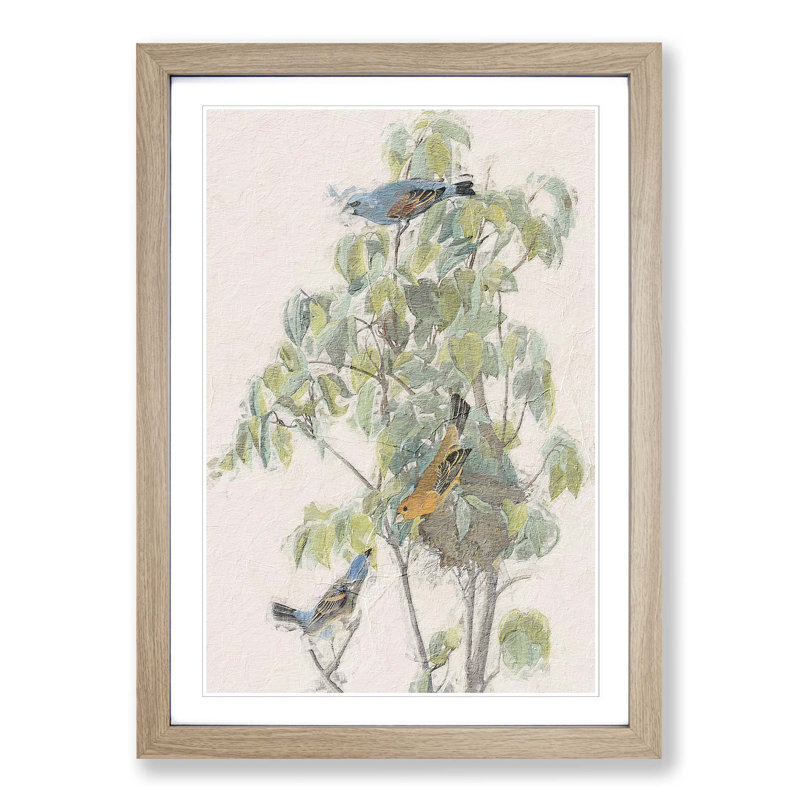 Blue Grosbeak Birds by John James Audubon - Picture Frame Painting Print, 48cm H x 36cm W x 2cm D, Oak Framed