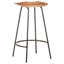 Edeline Counter Stool with Metal Frame